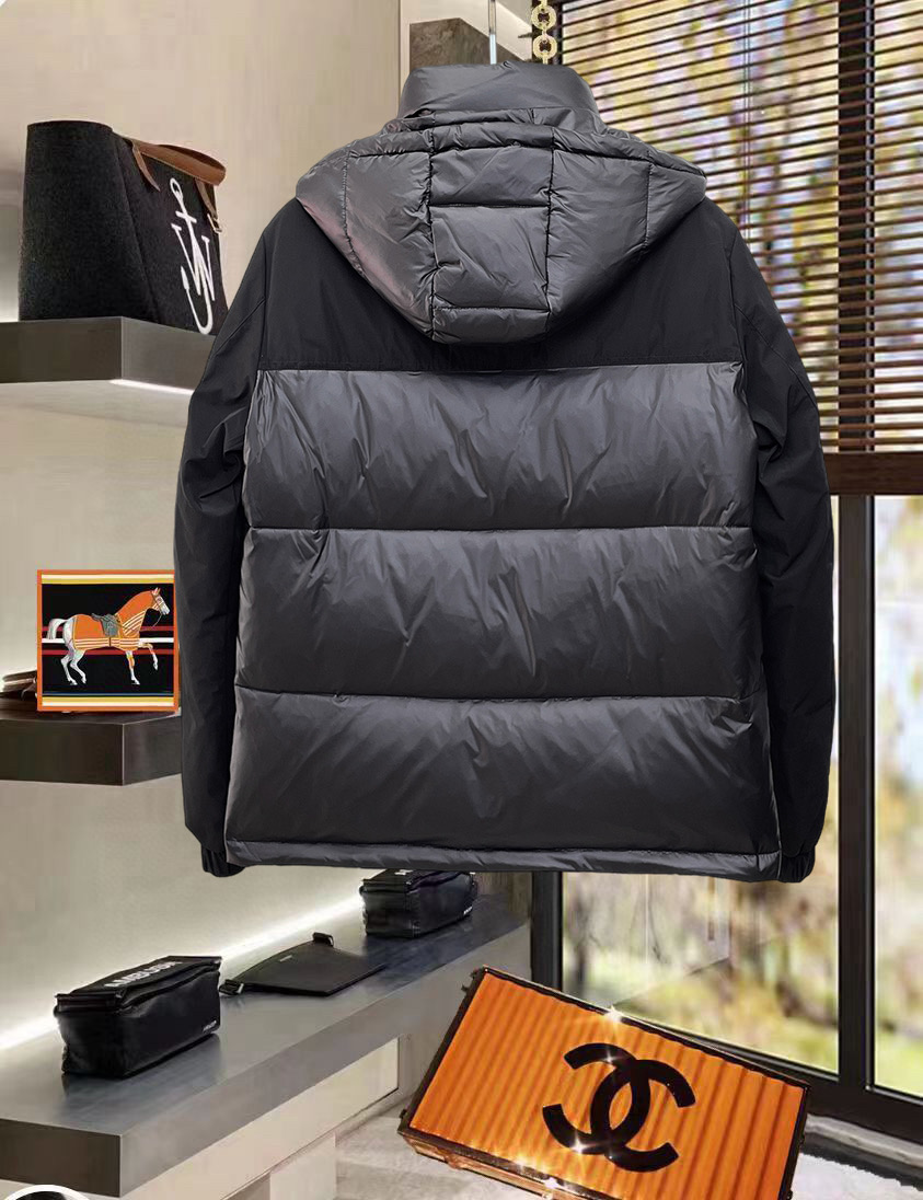 down jacket Men's